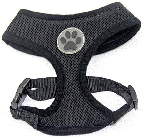 BINGPET Small Dog Harness - Breathable Mesh Puppy Cat Harnesses - No Pull Adjustable Dog Harness Dog Vest Harness for Small and Medium Dogs-PawvioPets