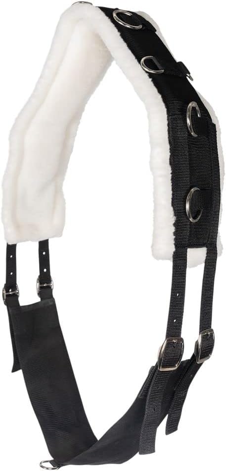 Dura-Tech Fleece Lined Training Surcingle for Horses | Essential for Lunging Work | Comfortable Fleece Lining | Durable Poly Material | Versatile D-Ring Placement | Suitable for All Training Levels-PawvioPets