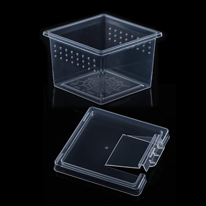 10 Pcs Insect Spider Terrariums Breeding Box Hatching Container Small Reptile Scorpion Centipede Acrylic Breeding Box (Small Size)-PawvioPets