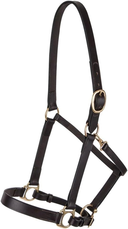 Dura-Tech Premier Lancaster Leather Halter for Horses | Simple Economy Leather Halter with Adjustable Fit & Solid Brass Hardware-PawvioPets