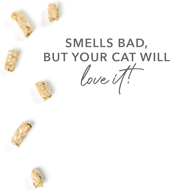 Feline Natural Freeze Dried Lamb Green Tripe Cat Food Supplement - Grain-Free High Protein Natural Topper - 2 Oz Grass Fed Beef Freeze Dried Cat Treats-PawvioPets