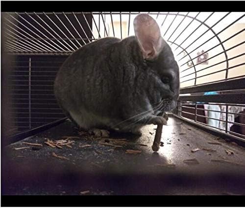 250g Apple Sticks Small Animals Molar Wood Treats Toys for Rabbits Chinchillas Guinea Pig Hamster Gerbil Parrot Bunny and Small Animals Chew Stick Toys Treats-PawvioPets