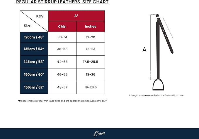 Exion Pre-Stretched Leather Stirrup Leathers for English Saddles | Premium Vegetable-Tanned Non-Stretch Stirrups for Jumping, Dressage & Schooling | 18-Hole Numbered Adjustment & SS Buckles-PawvioPets