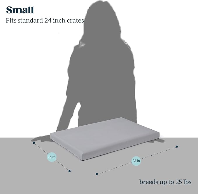 Cybarmour Indestructible Dog Bed - Outdoor Waterproof Chew Proof Dog Crate Pad - Orthopedic Kennel Mat for Aggressive Chewers - Small Breeds & Fits 24-Inch Crate - 23"x16", Limestone-PawvioPets