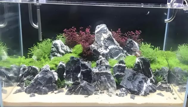 Dragon Stone Aquarium Rock Seiryu Stone for Aquariums, Fish Tanks, Bonsai, Terrariums, Wargaming Dioramas, Indoor or Outdoor Gardens-40Lb(2-10 Inch)-PawvioPets