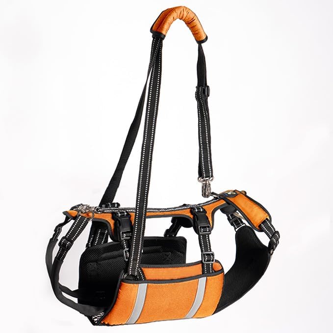 COODEO Mobility Dog Lift Harness, Emergency Carry Sling, Pet Rear Leg Support Rehabilitation Lifts Vest, Dog Carrier for Senior Dogs Joint Injuries, Arthritis (Orange, XL)-PawvioPets