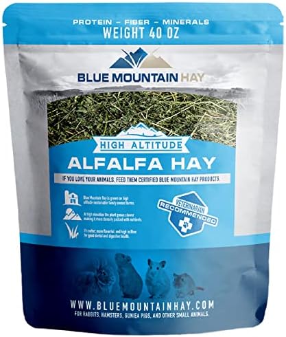 Blue Mountain Hay | Fresh Alfalfa Hay (40 Ounce) | High Leaf Retention | Nutritious High-Altitude Hay Pet Food for Rabbits, Guinea Pigs, Chinchillas, Hamsters, and Other Small Pets-PawvioPets
