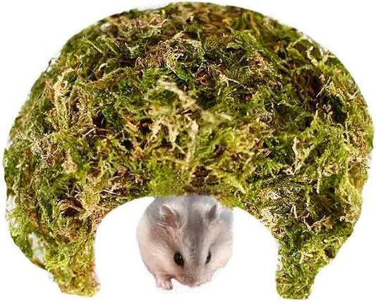 Coconut Hamster Hideout Hamster House Gerbil Cage for Small Animals with a Bundle of Apple Sticks a Carrot (Green)-PawvioPets