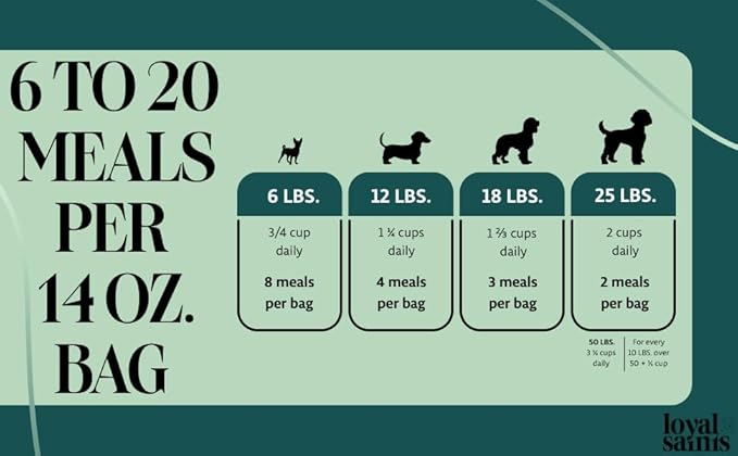 Freeze Dried Raw Dog Food - Premium Beef Flavor with High Protein and Grain Free Dog Food for Small or Large Breeds and Picky Eaters - Versatile as Meal Topper, Snack, and Treats, 14 Oz-PawvioPets