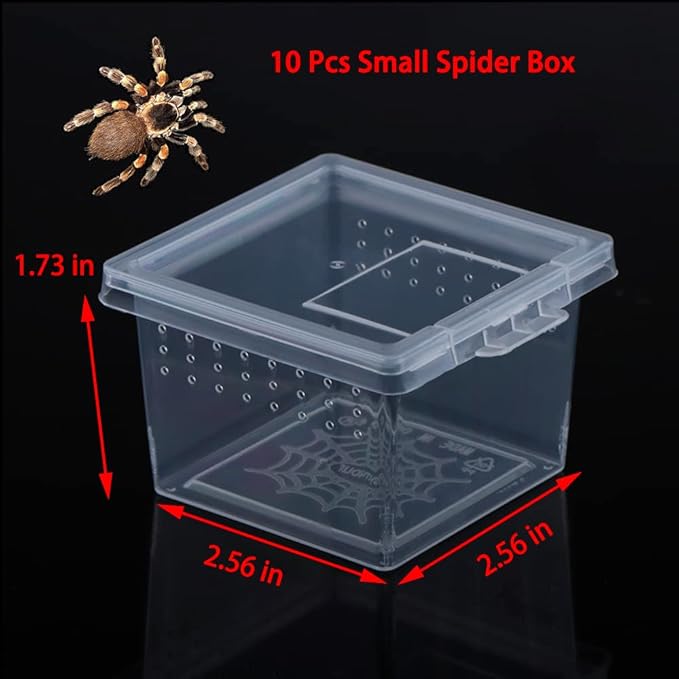 10 Pack Small Size Spider Terrariums Breeding Box Hatching Container Insect Scorpion Centipede Acrylic Breeding Box (with 10 Pcs Micro Water Bowl-PawvioPets