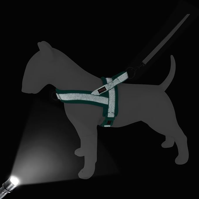 Didog No Pull Dog Harness with Breathable Mesh Padded, Full Reflective & Quick Fit Adjustable Vest Harness, Easy for Training Walking for Small & Medium and Large Dogs (Green, M:Chest 21-26")-PawvioPets