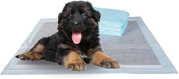 BV Charcoal Puppy Pads XL 40 Count 28"x34" - Leak-Proof Pee Pads for Dogs with 6-Layer Absorbent Design & Built-in Attractant - Dog Pad Extra Large with Charcoal for Odor Control - for Large Dogs-PawvioPets
