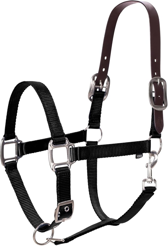 Equinavia Loki Adjustable Breakaway Horse Halter - Black - Cob-PawvioPets