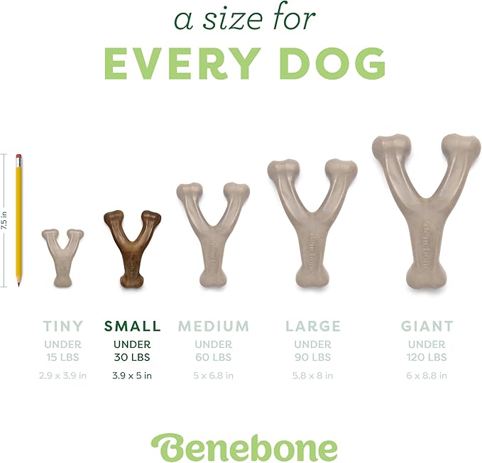 Benebone Wishbone Durable Dog Chew Toy for Aggressive Chewers, Real Peanut, Made in USA, Small, for Any breed-PawvioPets