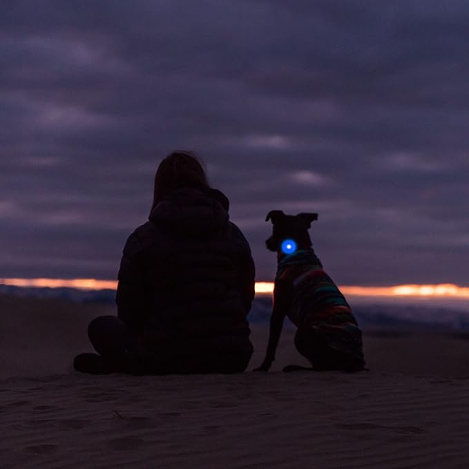 Airtag Holder for Dog Collar, Cibaabo Silicone Air Tag Case Cover Compatible with Apple Airtags for 0.8-1.2inch Cat Pet Collar Harness Loop-PawvioPets