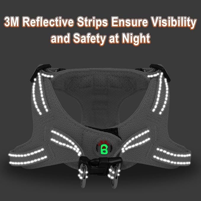 Dog Harness Step in Dog Vest Harness, Reflective Adjustable Puppy No Pull Harness Breathable Soft for Small and Medium Dogs Cats, Grey, S-PawvioPets