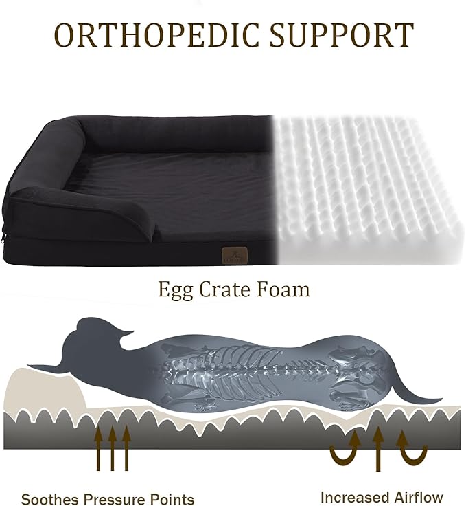 Bedfolks Orthopedic Dog Bed Extra Small, Waterproof Dog Sofa Bed for Small Dogs & Cats, Egg Foam Pet Couch Bed with Removable Washable Cover and Nonslip Bottom, Black-PawvioPets