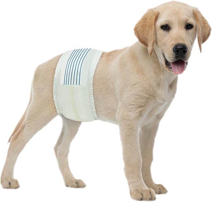 BV Dog Diapers Male Medium (Waist 13-23in) Super Absorbent - 50 Count Disposable - Doggie Diapers with Wetness Indicator - Adjustable Male Dog Wraps - Ideal for Incontinence/Training-PawvioPets