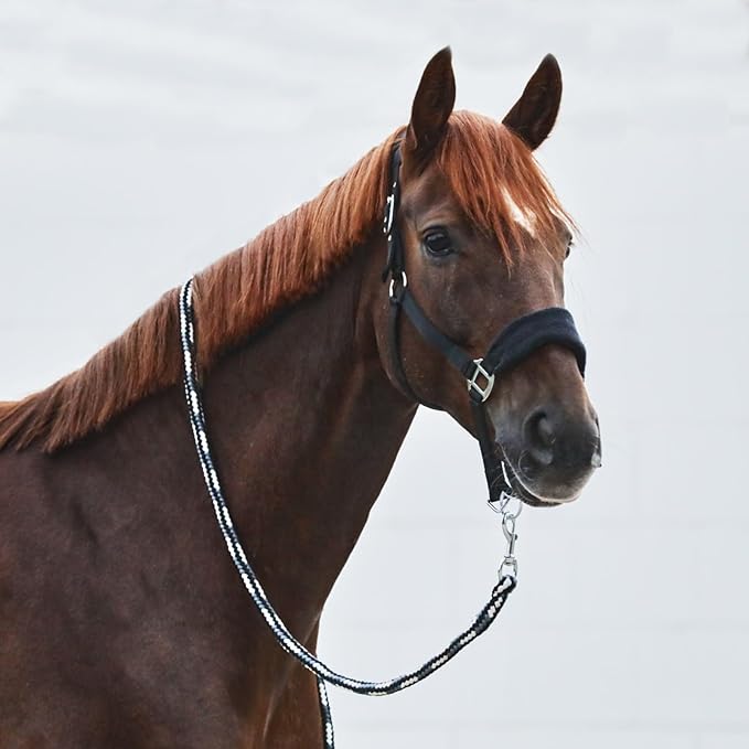 HORZE Kiel Adjustable Horse Halter with Fleece Padding - Black - Horse-PawvioPets