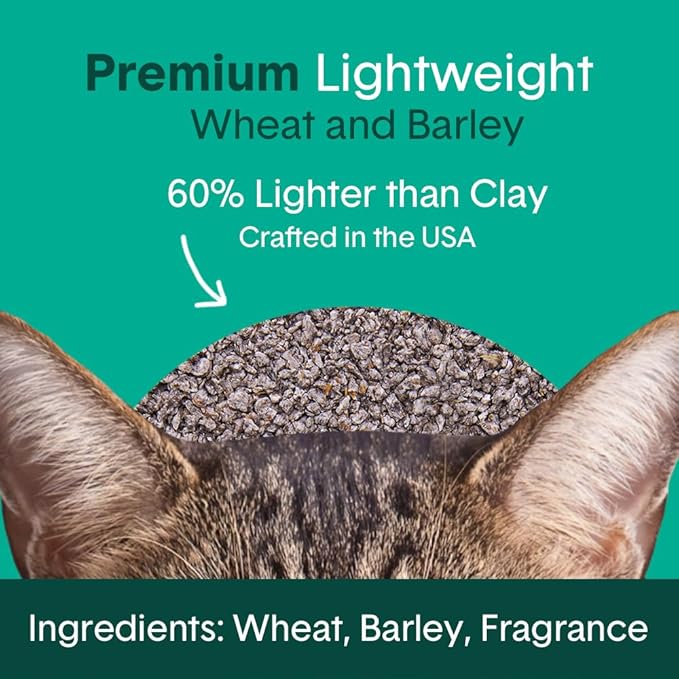 Boxie Gently Scented Cat Litter, Lightweight 30-Day Odor Control, Clumping, 16.5lb-PawvioPets