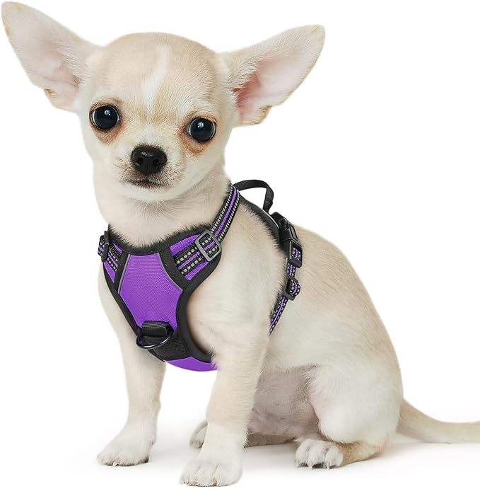 Eagloo Small Dog Harness No Pull, Service Vest with Reflective Strips and Control Handle, Adjustable and Comfortable for Easy Walking, No Choke Pet Harness with 2 Metal Rings, Purple, XS-PawvioPets