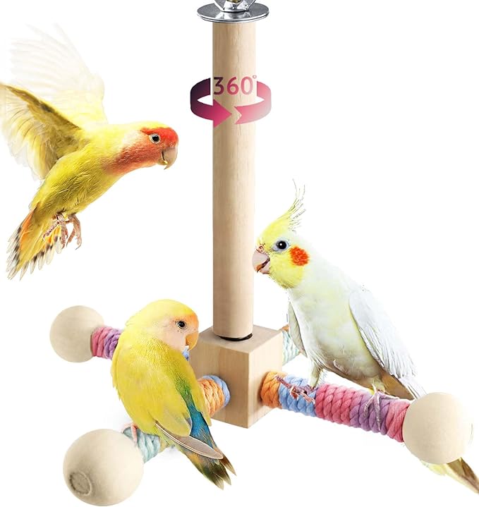 Bird Stand Perch Toy for Small & Medium Birds, 360° Rotating Natural Wooden Parrot Perchs for Bird Cages, Interactive Spinning Toy fo Parrot Parakeets Cockatiels Lovebirds Conures Finches Budgies-PawvioPets