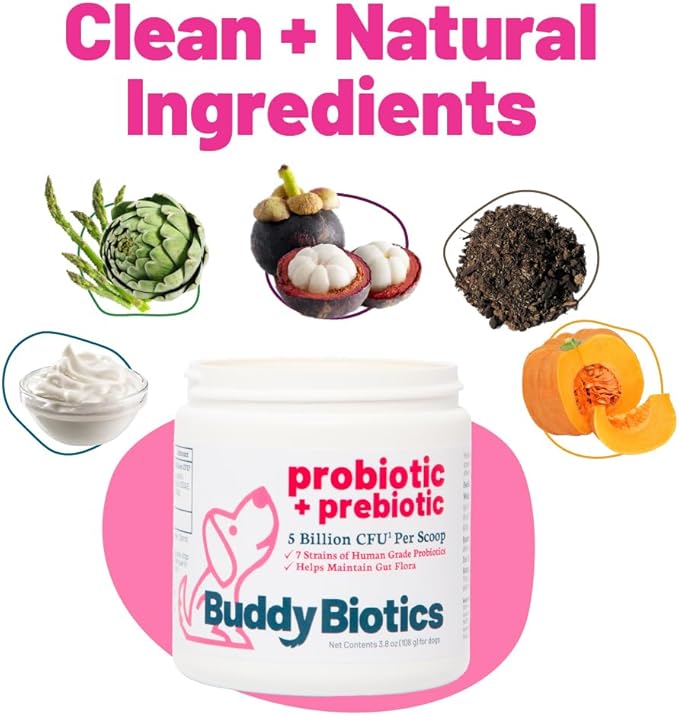 Buddy Biotics Probiotic + Prebiotic for Dogs- Gut Flora Health, Digestive and Immune Health, Diarrhea and Bowel Support – 5 Billion CFU per Scoop-PawvioPets