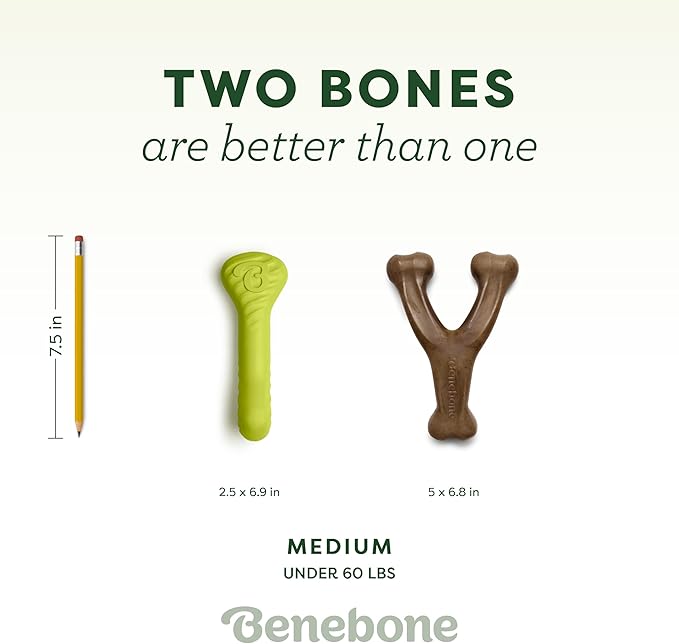 Benebone 2-Pack Bacon Wishbone/Rubber Bone Medium-PawvioPets