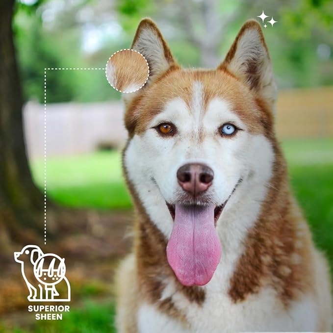 Best Shot UltraMAX Pro Finishing Spray, Ideal Detangler Spray for Pets, Hydrating and Soothing Pet Grooming Spray, for Dogs and Cats, 1.1 Gallon-PawvioPets