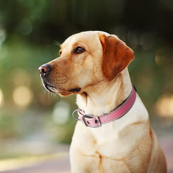 Fida Heavy Duty Dog Collar, Ultra Comfortable Soft Neoprene Padded, Adjustable Reflective Nylon Pet Collar with Durable Metal Belt Buckle for Large Breeds (L, Pink)-PawvioPets