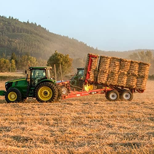 Blue Mountain Hay | Fresh Organic Oat Hay (15 Ounce) | Good for Sensitive Digestion | High-Altitude Hay Pet Food for Rabbits, Guinea Pigs, Chinchillas, Hamsters, and Other Small Pets-PawvioPets