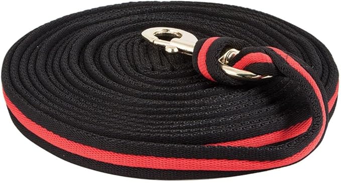 Dura-Tech Cushion Lunge Line for Horses | Stable Use & Horse Training | Horse Lunge Line with Snap | Durable Horse Lead Rope | 30 Foot Length | Replaceable Brass Snap-PawvioPets