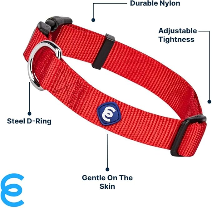 Blueberry Pet X-Small Dog Collar | Girl Dog Collars | Female Dog Collar XS | Quick Release Dog Collar | Rouge Red Nylon Dog Collar for Girl, Collar for Small Dogs-PawvioPets