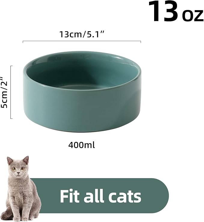 Ceramic Set of 2 Cat Bowls, Food and Water Bowls for Cats, Kitty, 2pcs Cat Dishes, Pet Feeder(5.1inch, 2 x Light Green Bowls)-PawvioPets