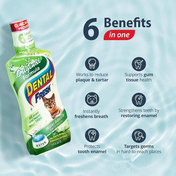 Dental Fresh Water Additive for Cats, Original Formula, 8 oz – Cat Breath Freshener – Products for Cats to Help Overall Cat Dental Health-PawvioPets