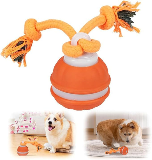 2026 New Interactive Pet Toy Ball, Smart Interactive Ball for Cats & Dogs, Electric Rolling Pet Toy Ball, Rechargeable Interactive Cat Toys for Bored Indoor Cats Kittens to Keep Busy (Orange)-PawvioPets