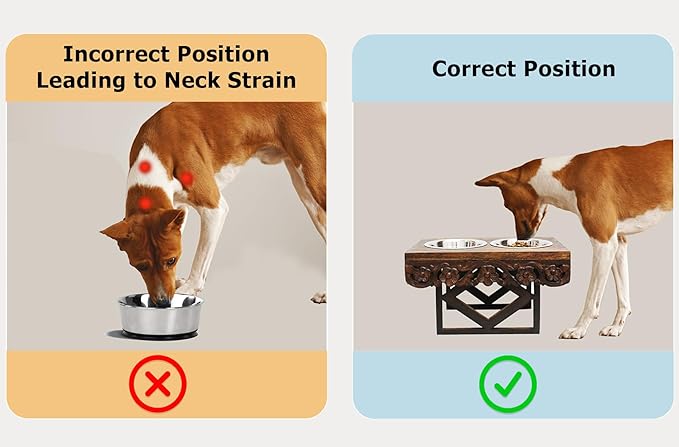 Elevated Pet Feeder for Dogs and Cats - The Bali Carved Wood Pet Feeding Stand with Two Stainless Steel Bowls - Three Heights Adjustable Raised Dog Bowl - Food Water Pet Feeding Station - IRONGATE-PawvioPets