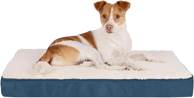 Best Pet Supplies Cute Dog Crate Mat Flat Bed with Waterproof Exterior, Thick Orthopedic Egg Foam Mattress, and Soft Sherpa Fleece Cover for Small, Medium, and Large Breeds - Blue, 24X16X3-PawvioPets