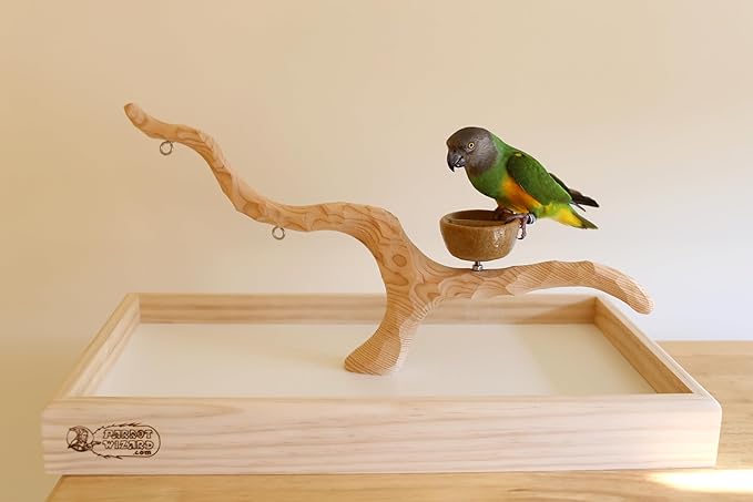 Deluxe Tabletop Perfect Tree (with Bowl) - Tree Stand for Parakeets and Small Parrots-PawvioPets