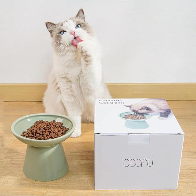 Extra Wide Elevated Ceramic Cat Food Bowl - 6.2" Shallow Dish for Whisker Fatigue Relief, 5" Height for Easy Feeding, Lead & Cadmium Free, Durable Raised Cat Food Bowls, Sage Green-PawvioPets