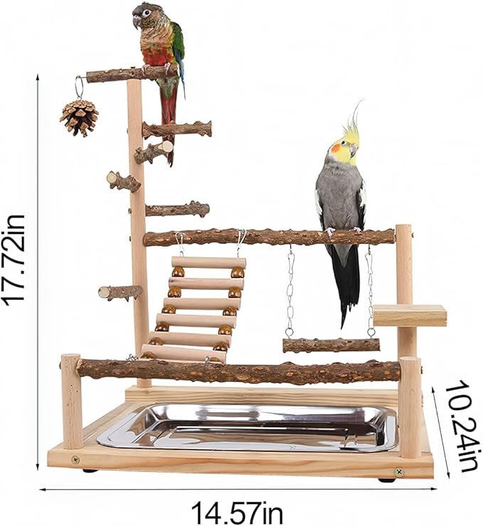 Bird Playground, Parrot Perch Stand, Natural Wood Bird Play Stands for Cockatiel Wood Perch Gym Playpen Ladder with Removable Tray and 2 Stainless Steel Cups, Bird Cage Accessories, Parrot Swing-PawvioPets