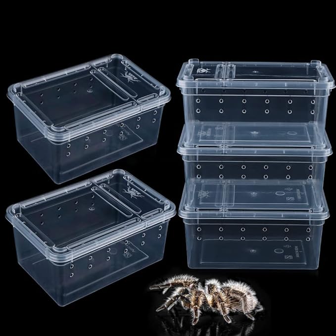 5 Pcs Spider Small Terrariums Breeding Box Transparent Hatching Container Plastic Feeding Box for Small Reptile Spider Scorpion Centipede Insect-PawvioPets