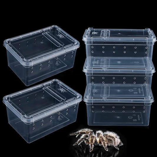 5 Pcs Spider Small Terrariums Breeding Box Transparent Hatching Container Plastic Feeding Box for Small Reptile Spider Scorpion Centipede Insect-PawvioPets