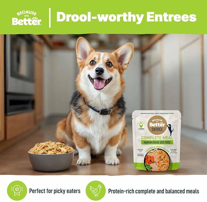 Because it's Better Entrée Complete Meal, Chicken & Pasta Recipe, Human Grade Wet Dog Food, 10 oz Pouches, 6 Count-PawvioPets