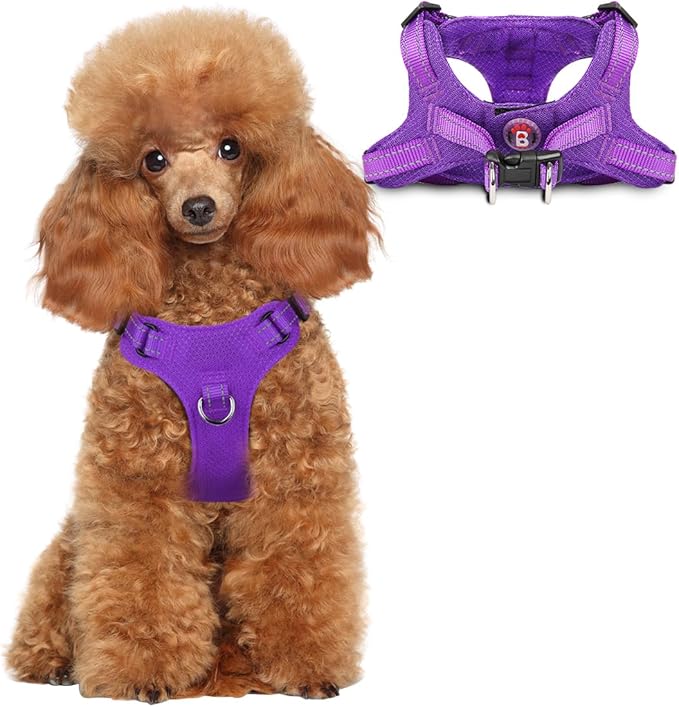 Dog Harness Step in Dog Vest Harness, Reflective Adjustable Puppy No Pull Harness Breathable Soft for Small and Medium Dogs Cats, Purple, XS-PawvioPets
