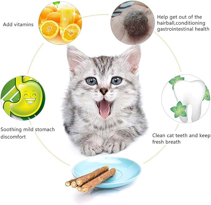 20 PCS Cat Catnip Sticks Natural Matatabi Silvervine Sticks - Cleaning Teeth Molar Tools Kitten Chew Toy Natural Catnip Cats Toy-PawvioPets