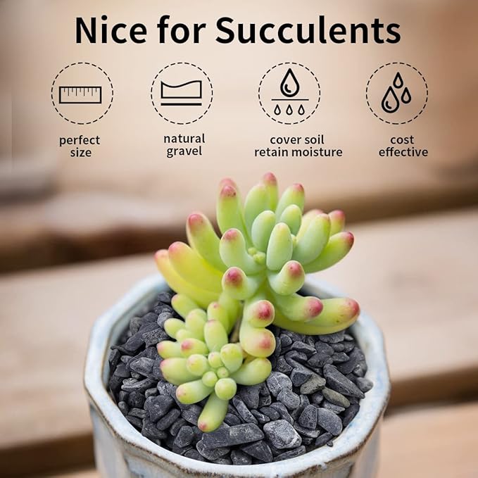 5lbs Black Pea Gravel, 3/8 Inch Decorative Pebbles Succulent Rocks, Black River Rocks Stones for Planters Vase Landscaping and Outdoor Garden Rock-PawvioPets