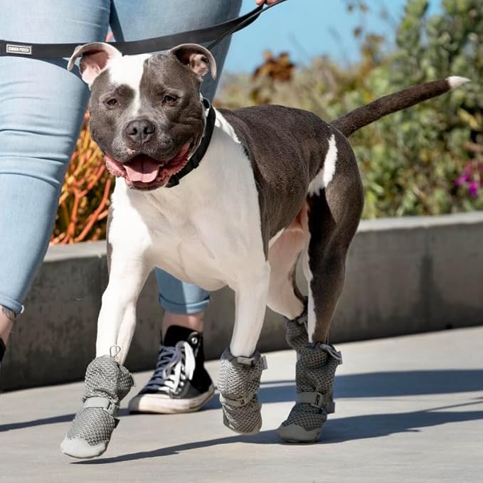 Canada Pooch Dog Boots for Hot Pavement - Dog Boots & Paw Protectors with Anti Slip Rubber | Water Friendly, Breathable Dog Shoes for Hot Days, Great for Dogs Grey - Size 5-PawvioPets