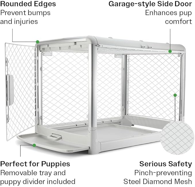 DIGGS Revol Collapsible Dog Crate with Wheels - Premium Portable Dog Crate - Safe, Stylish, and Convenient Indoor Kennel (Ash, Large)-PawvioPets