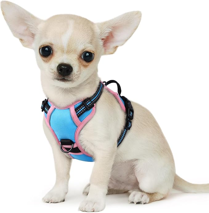 Eagloo Small Dog Harness No Pull, Service Vest with Reflective Strips and Control Handle, Adjustable and Comfortable for Walking, No Choke Pet Harness with 2 Metal Rings, Pink & Blue, XS-PawvioPets